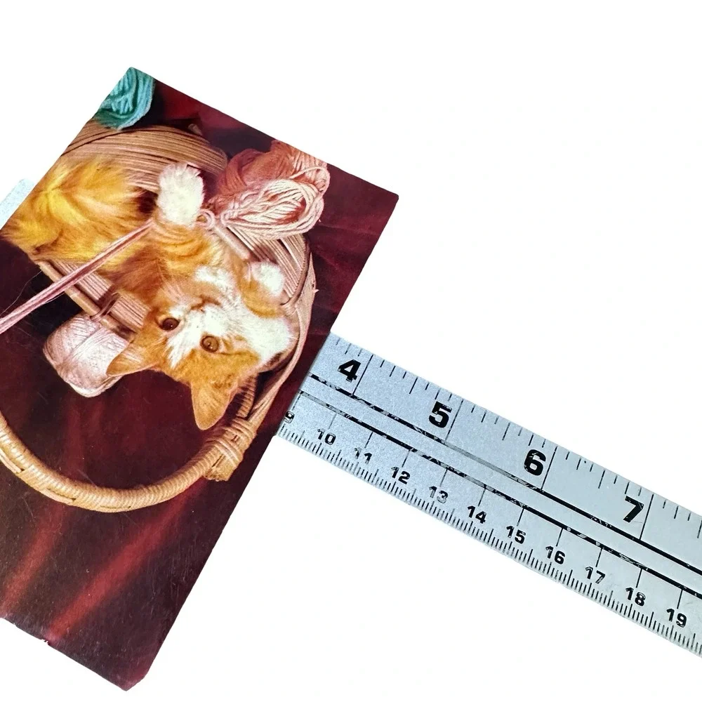 Vintage View Gram Cat Spinning the‎ Yarn Postcard Bob Taylor Unused 60s BLC-99